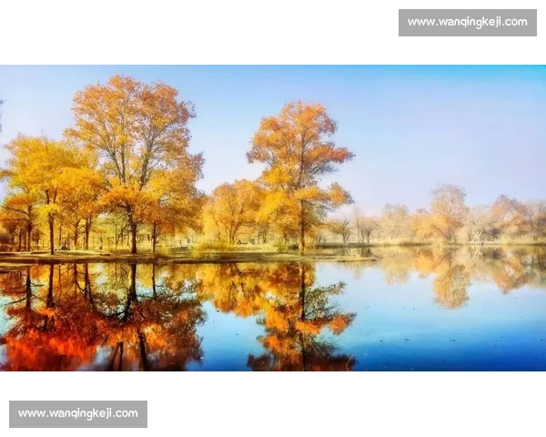 秋日阿勒泰，那束橙色的暖光